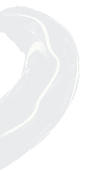 Decorative Left Graphic