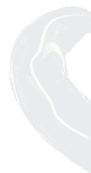 Decorative Right Graphic
